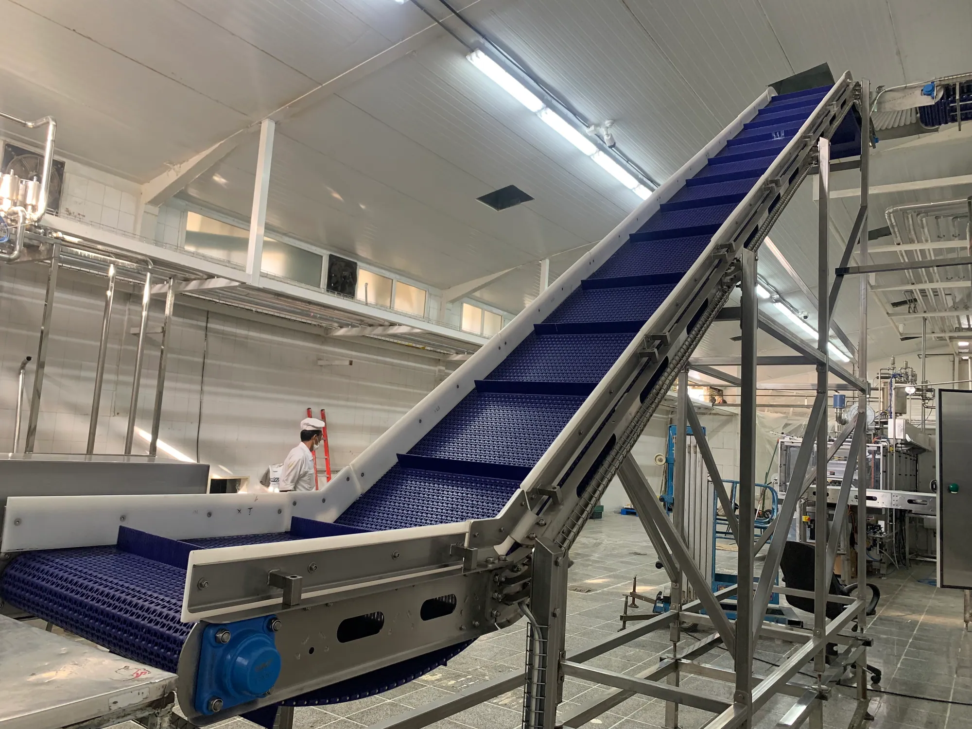 Debris-Removal Conveyors (Integrated Scrape)