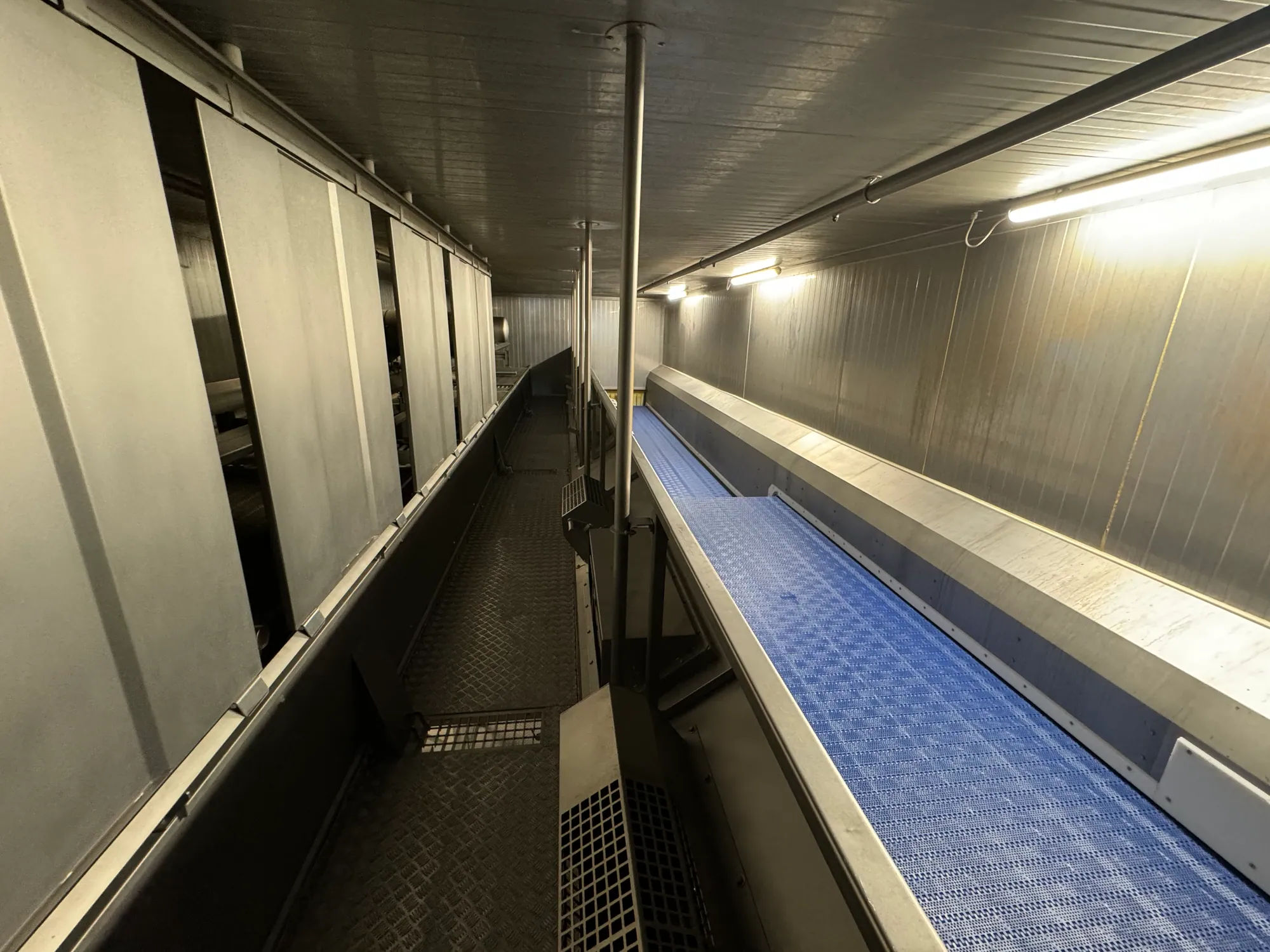 IQF Tunnel Freezer